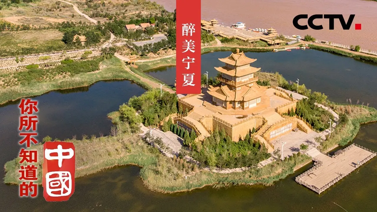 《塞上江南》:水墨田园诗背后的时代变迁与人性光辉