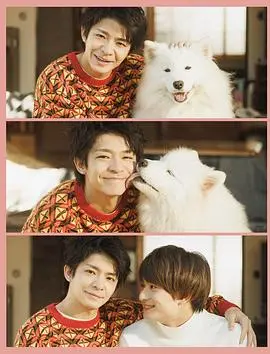 《爱你汪汪》：不止萌宠！探讨人与狗狗的深情羁绊，温暖治愈的家庭喜剧！