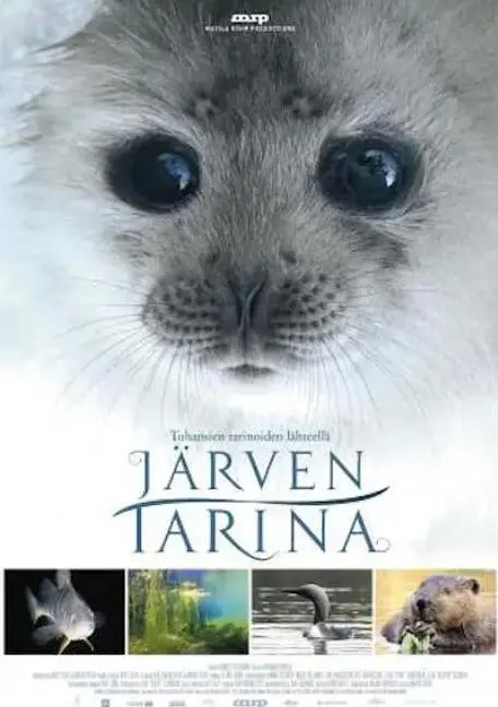 《湖泊的传说》：隐藏在静谧湖光背后的神秘真相，一段关于勇气与守护的古老童话